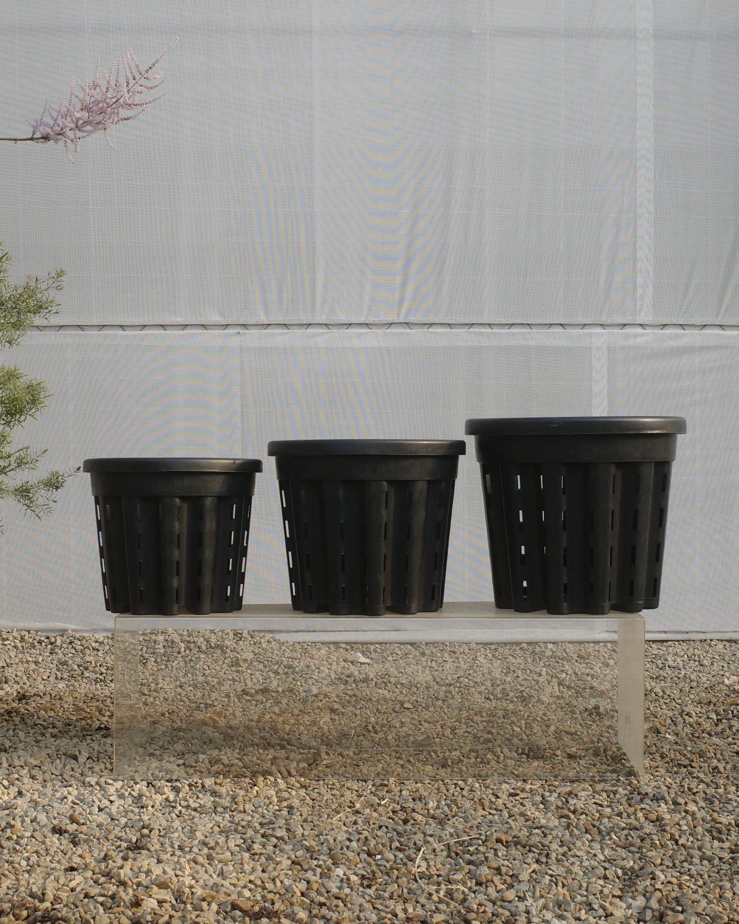 Ercole anti-root-spiraling pot 防旋根控根盆