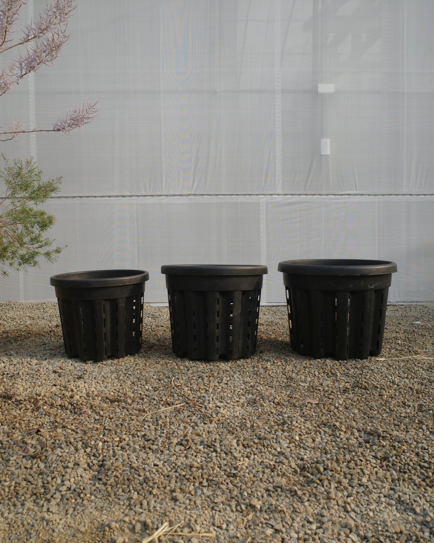 Ercole anti-root-spiraling pot 防旋根控根盆