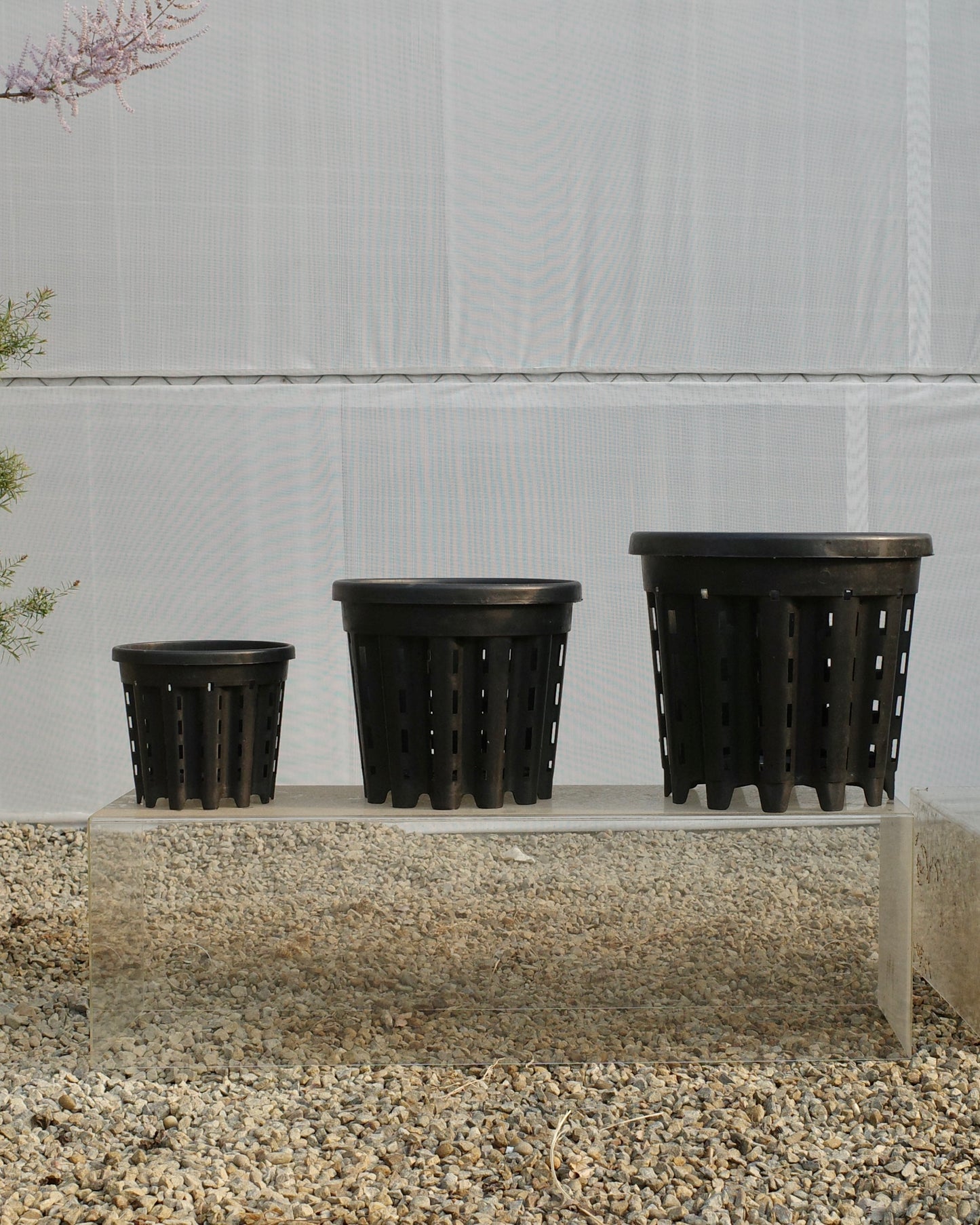 Super-Ercole anti-root-spiraling pot 超級防旋根控根盆
