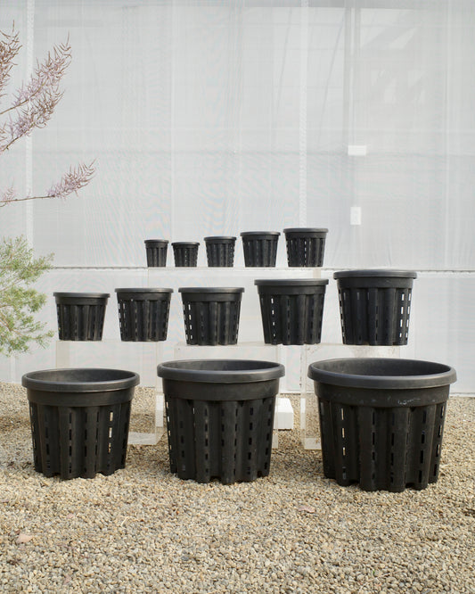 Ercole anti-root-spiraling pot 防旋根控根盆 100個以上優惠區