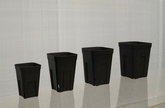 Presstera 日本控根盆 深鉢