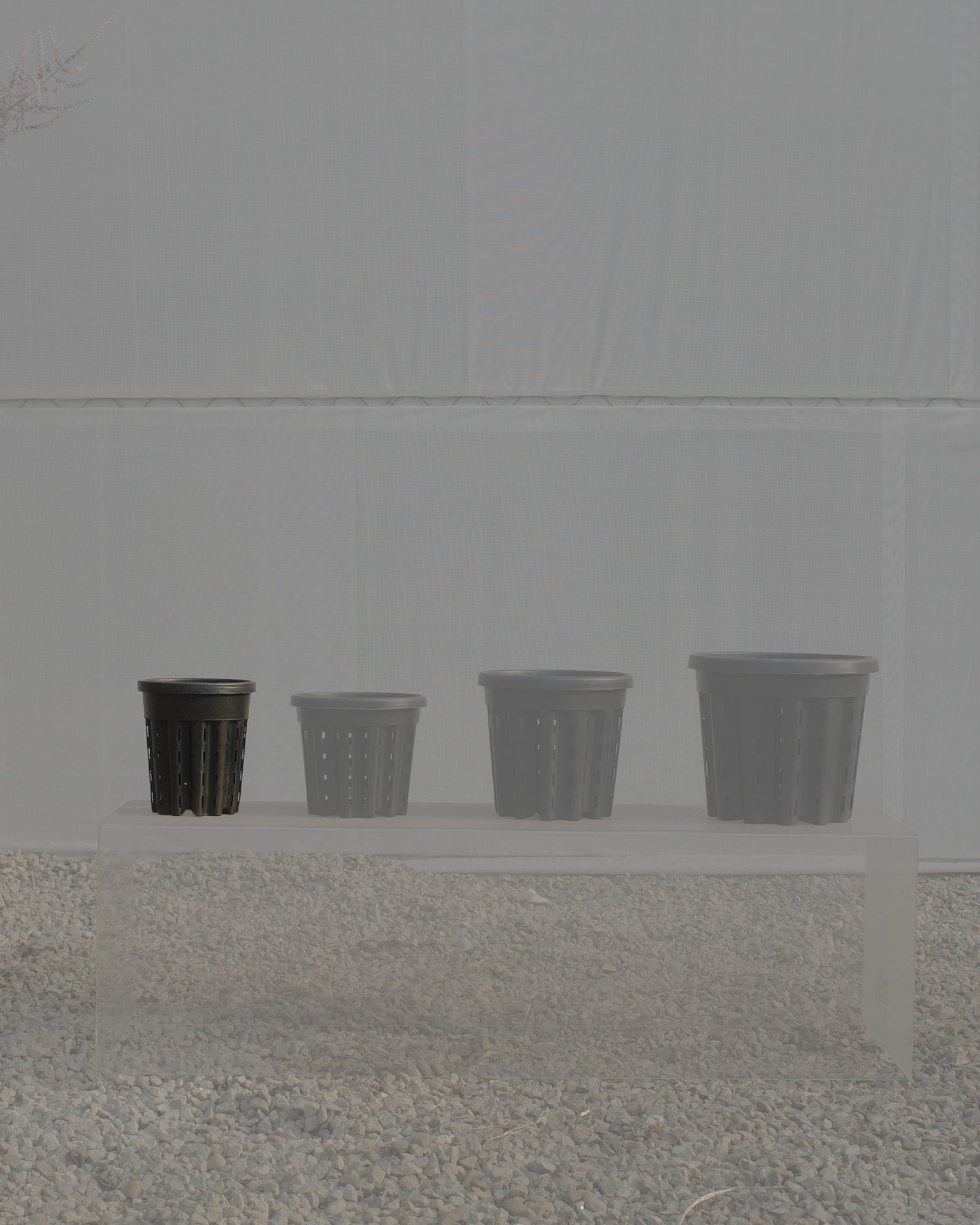 Ercole anti-root-spiraling pot 防旋根控根盆