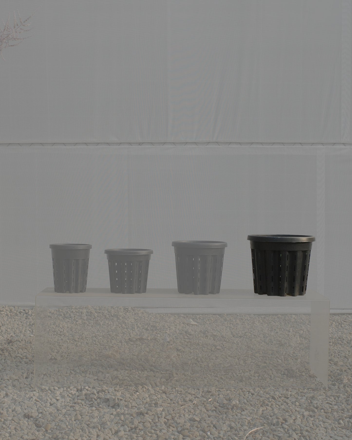 Ercole anti-root-spiraling pot 防旋根控根盆