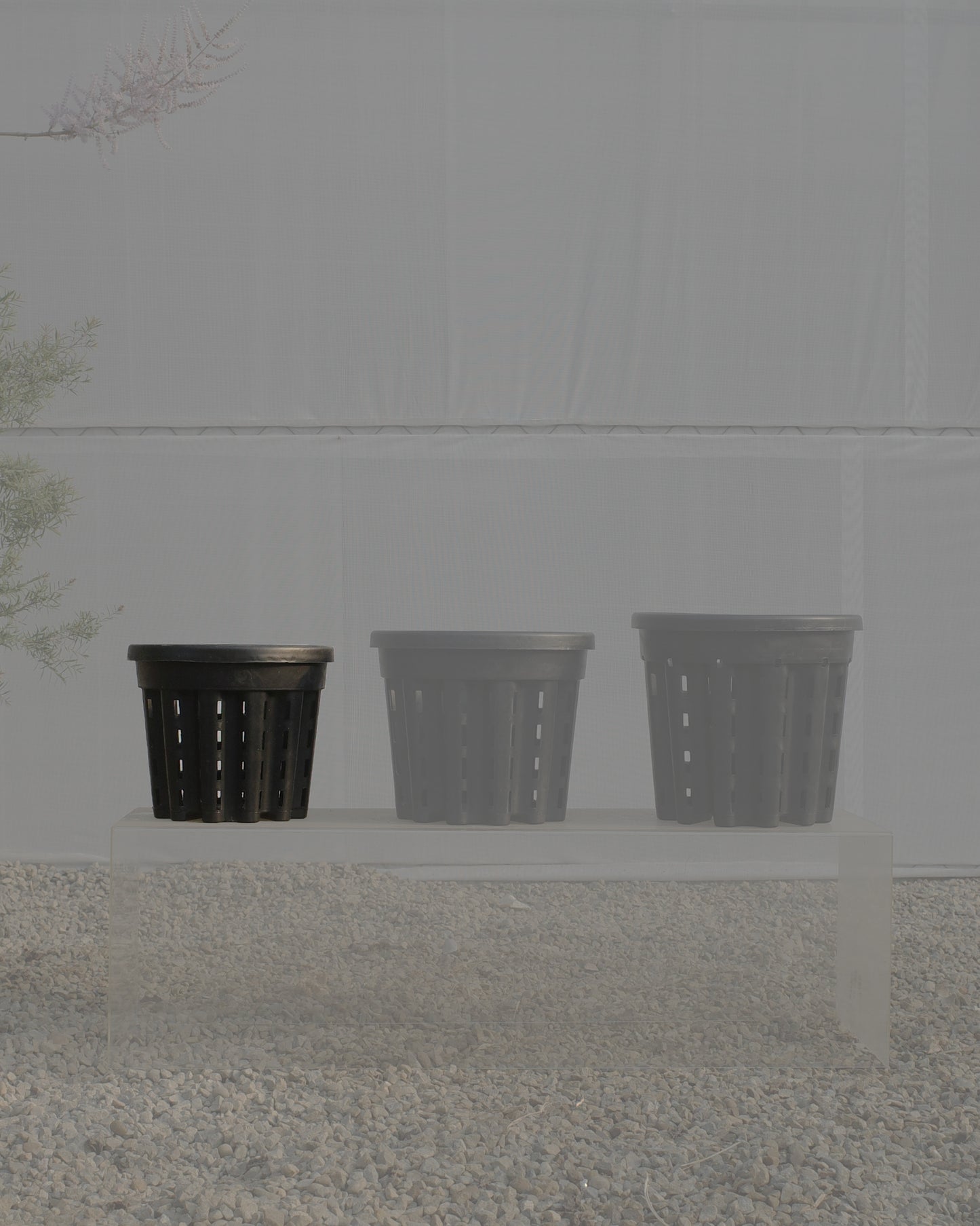 Ercole anti-root-spiraling pot 防旋根控根盆