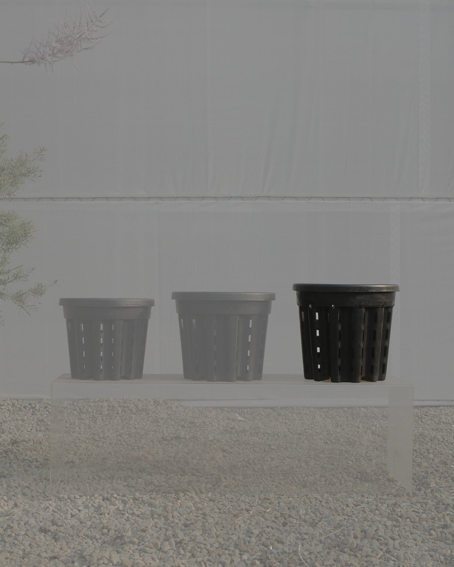 Ercole anti-root-spiraling pot 防旋根控根盆