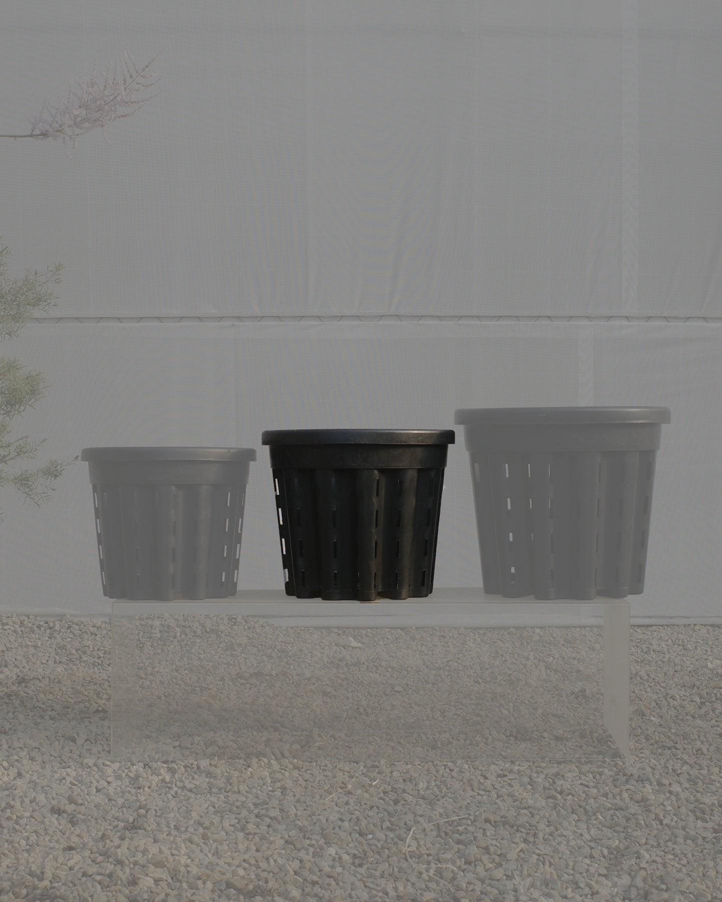 Ercole anti-root-spiraling pot 防旋根控根盆