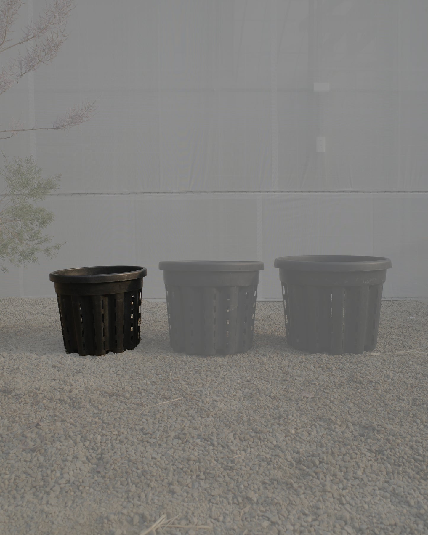 Ercole anti-root-spiraling pot 防旋根控根盆