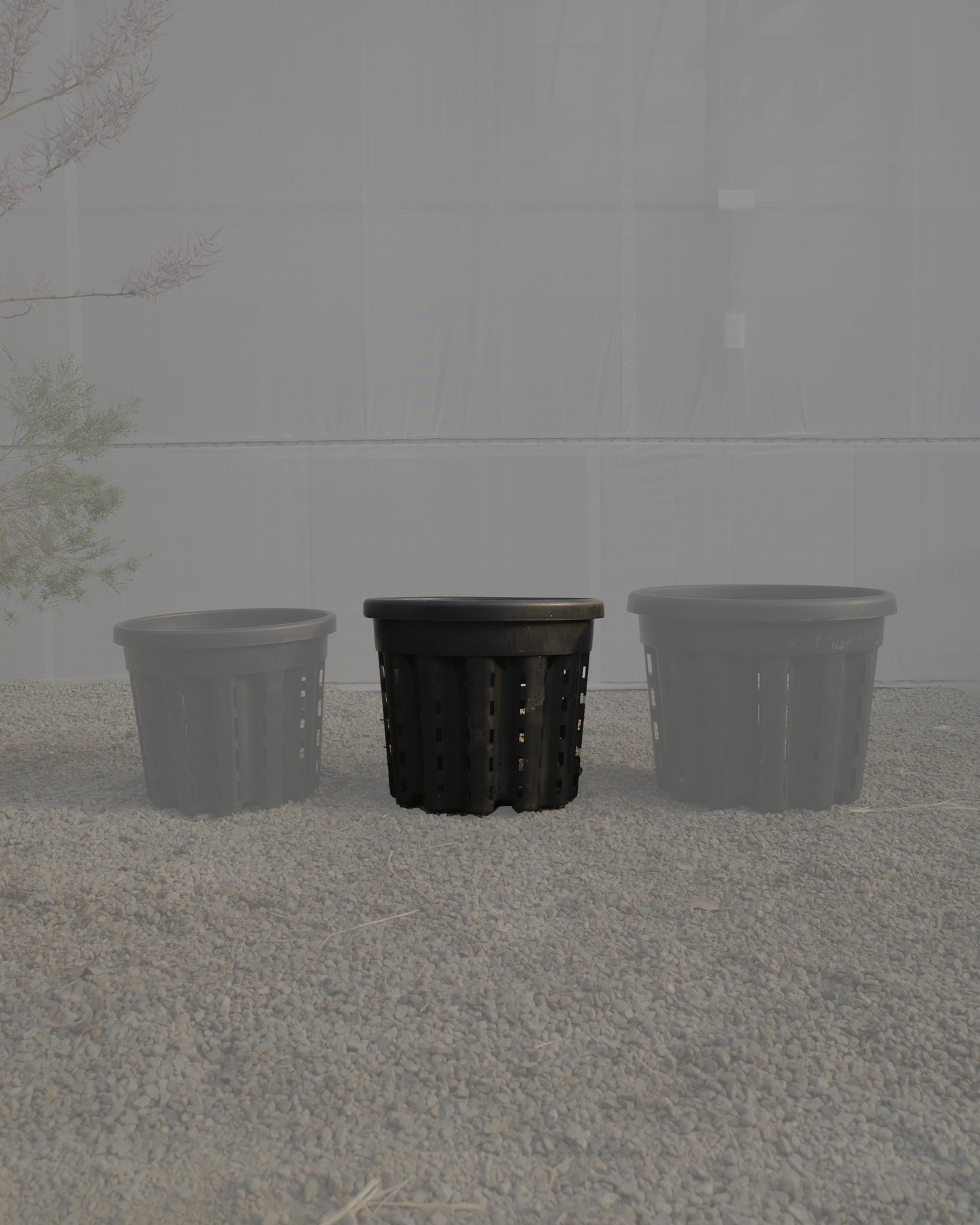 Ercole anti-root-spiraling pot 防旋根控根盆
