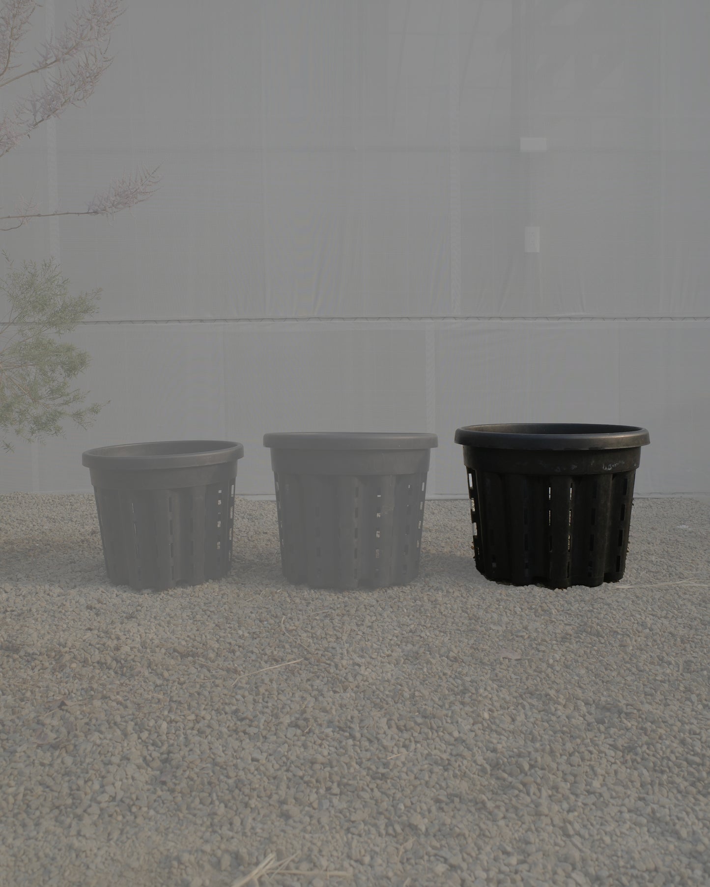 Ercole anti-root-spiraling pot 防旋根控根盆