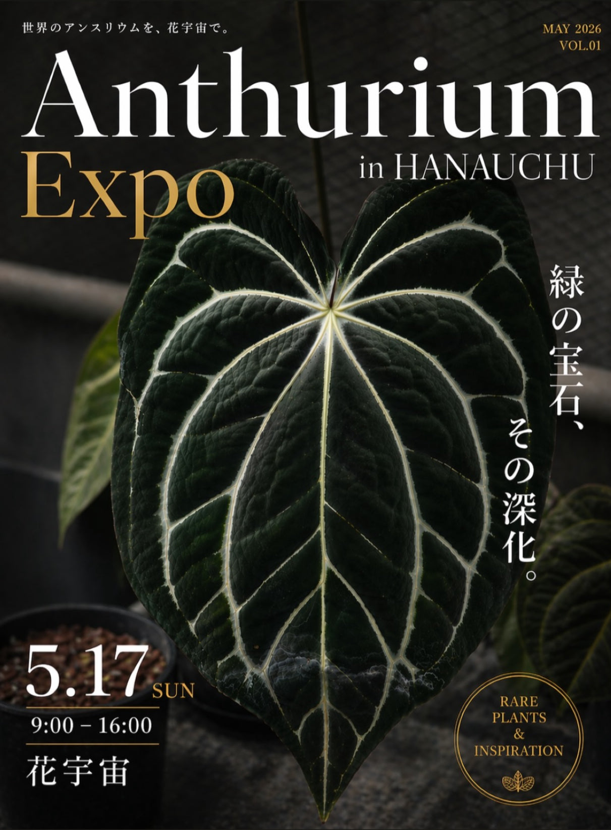 Collections – WABISABI PLANTS
