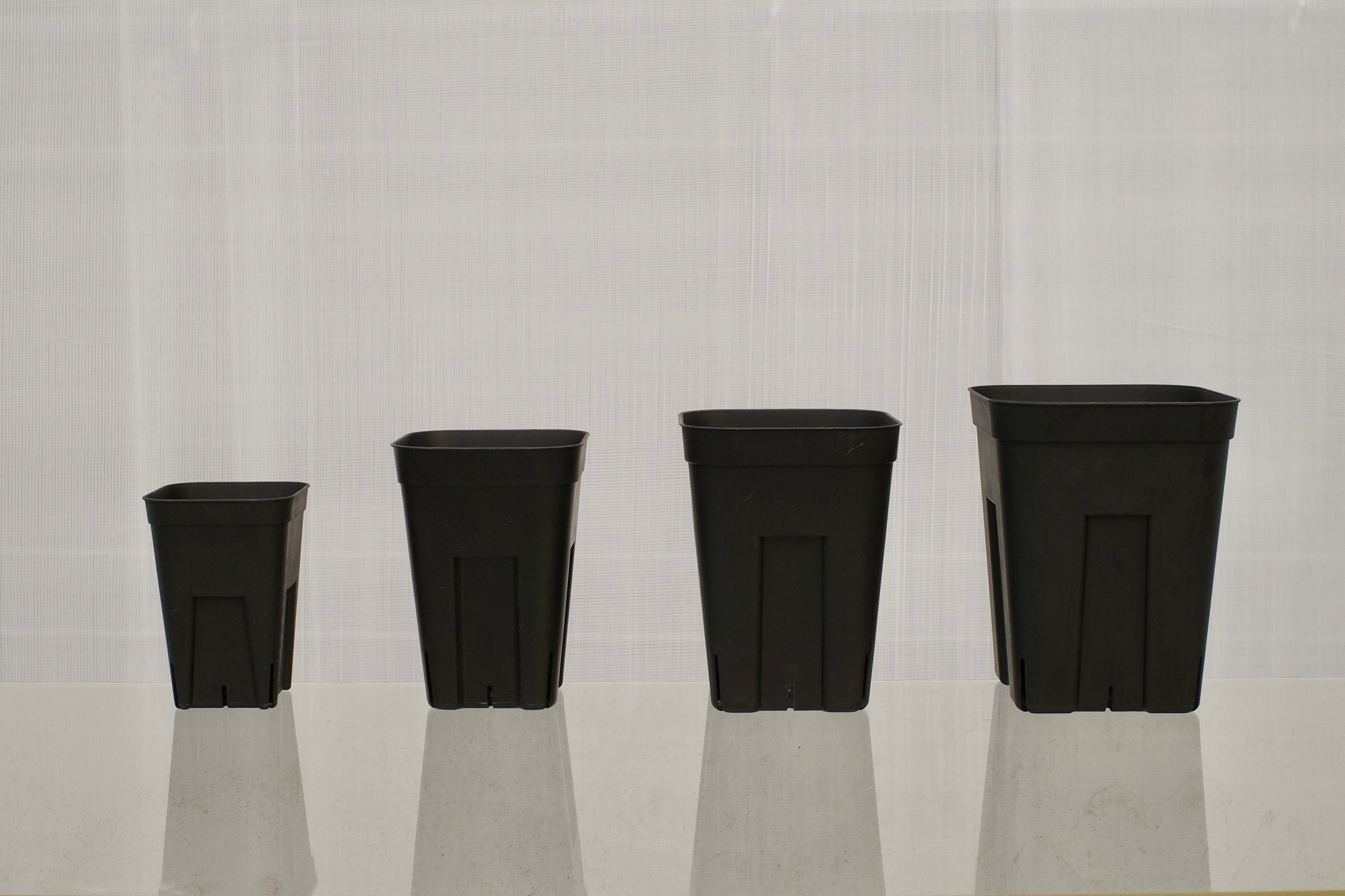 Collections – WABISABI PLANTS