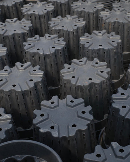 【年度火鶴神祕禮包 Anthurium Mystery Box】