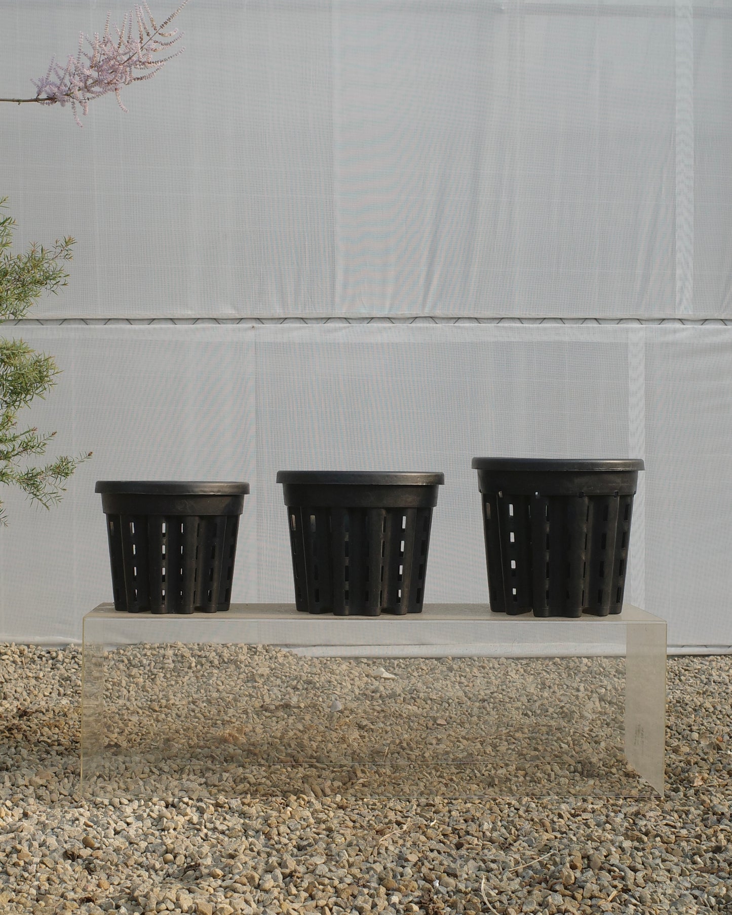 Ercole anti-root-spiraling pot 防旋根控根盆