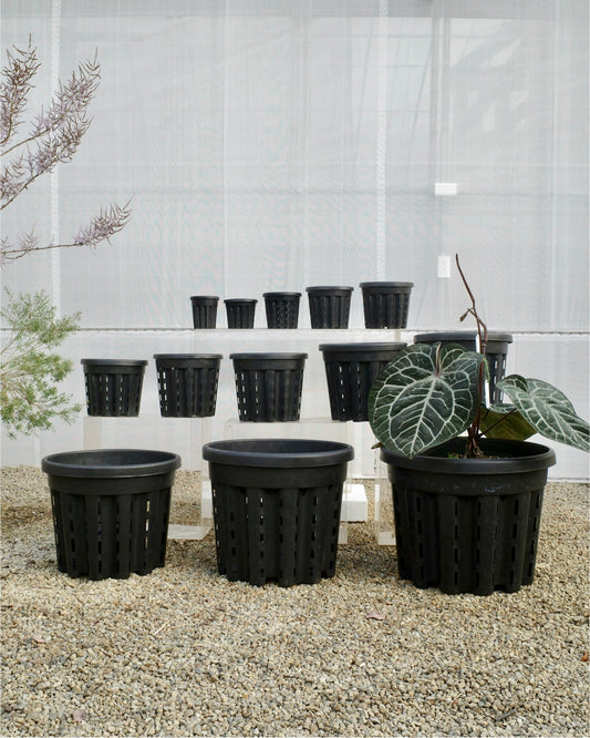 Ercole anti-root-spiraling pot 防旋根控根盆