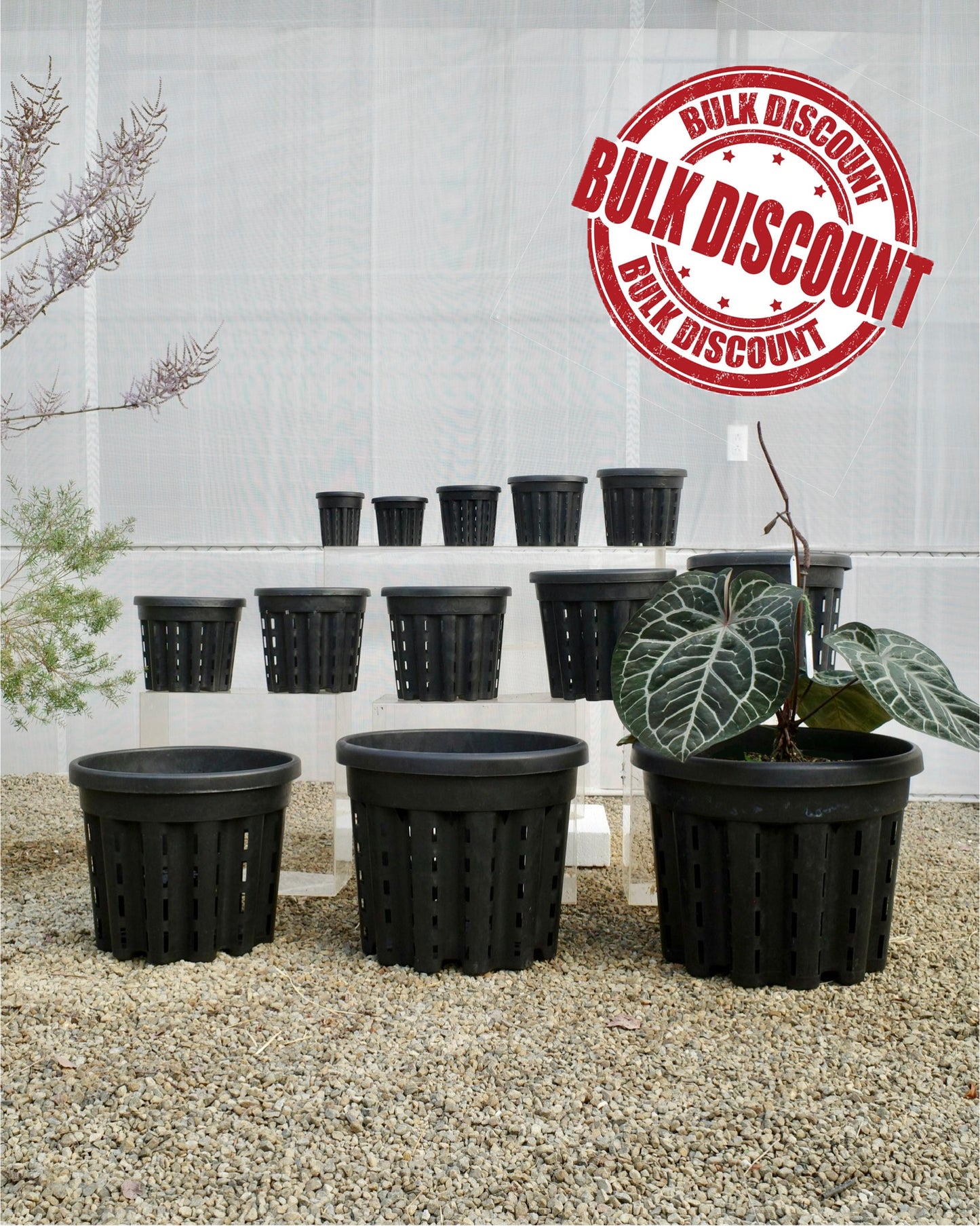 Ercole anti-root-spiraling pot 防旋根控根盆 100個以上優惠區