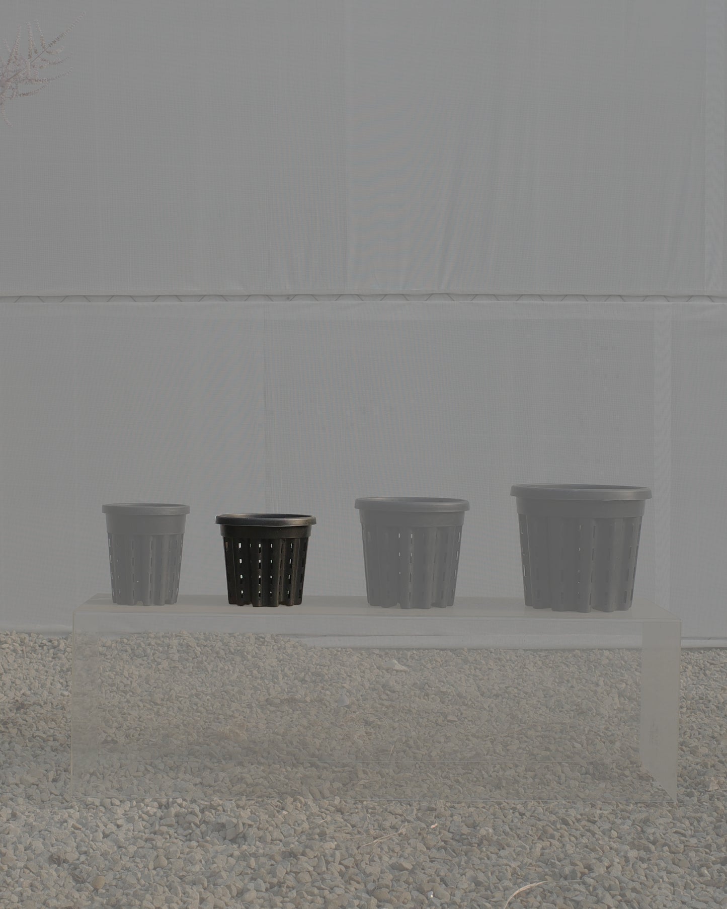 Ercole anti-root-spiraling pot 防旋根控根盆
