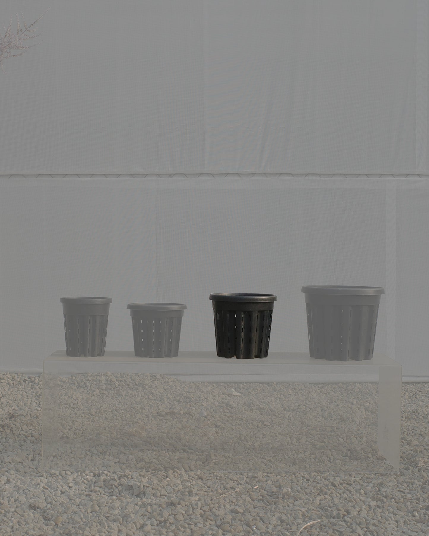 Ercole anti-root-spiraling pot 防旋根控根盆