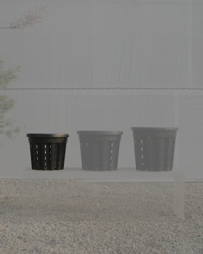 Ercole anti-root-spiraling pot 防旋根控根盆