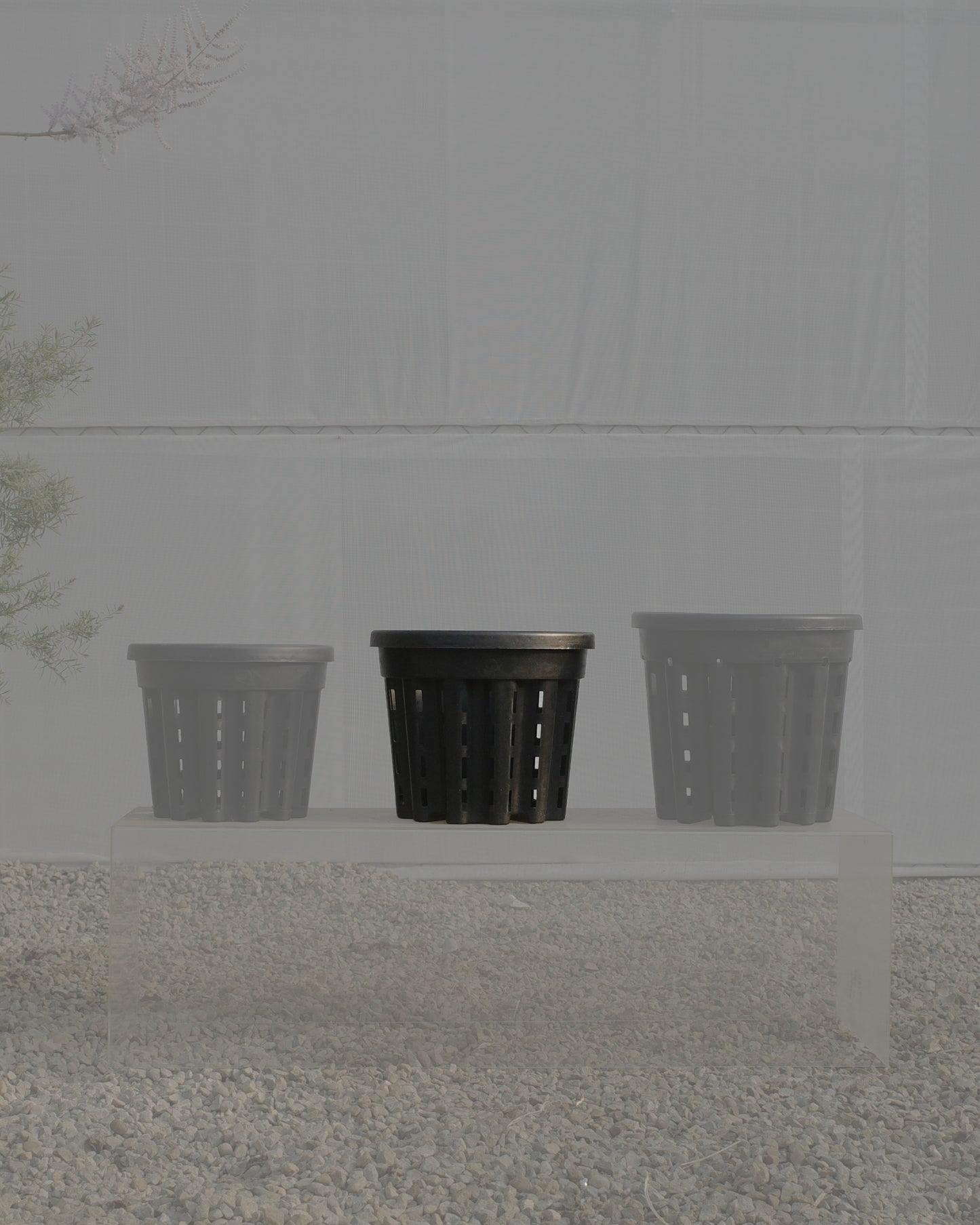 Ercole anti-root-spiraling pot 防旋根控根盆