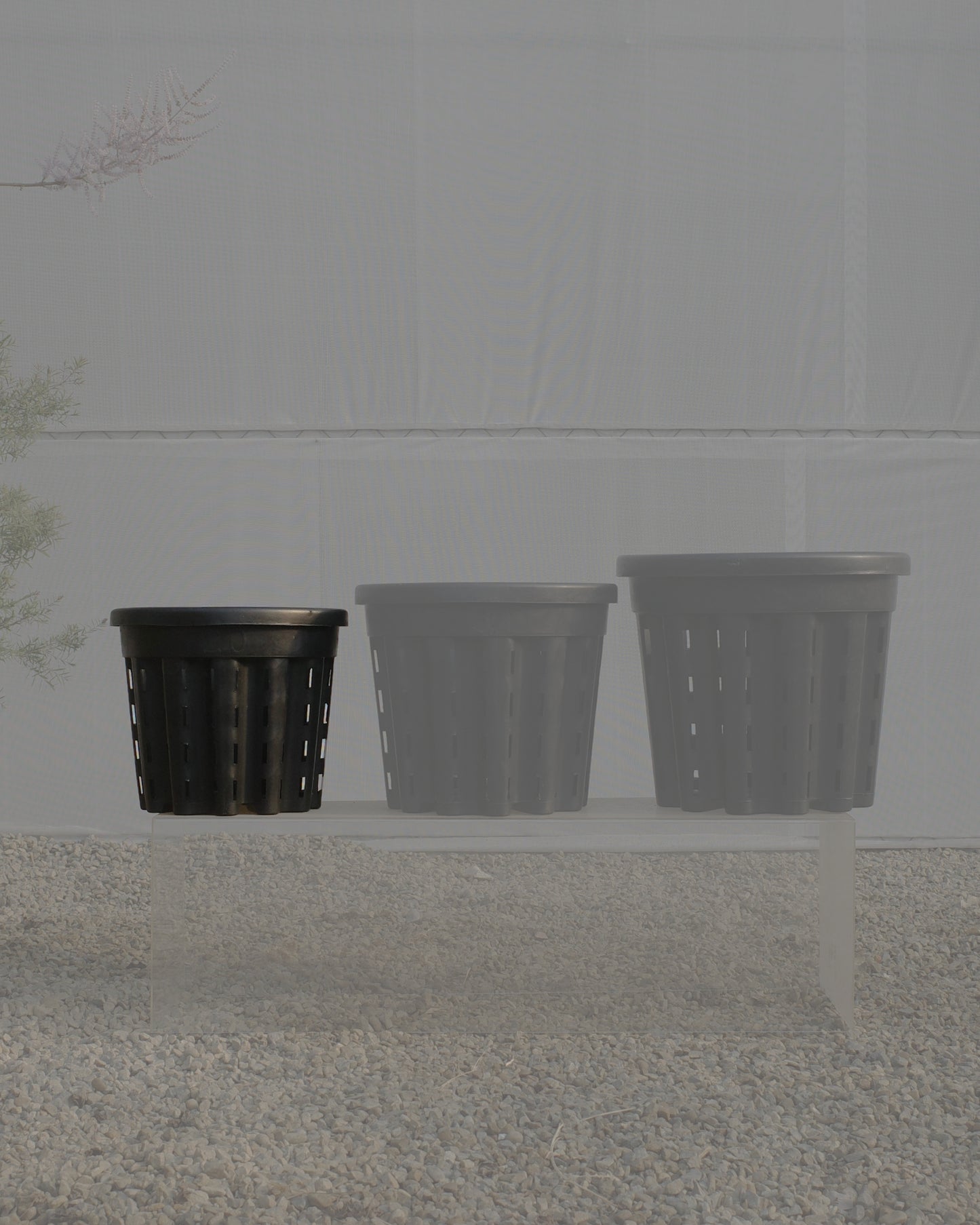 Ercole anti-root-spiraling pot 防旋根控根盆