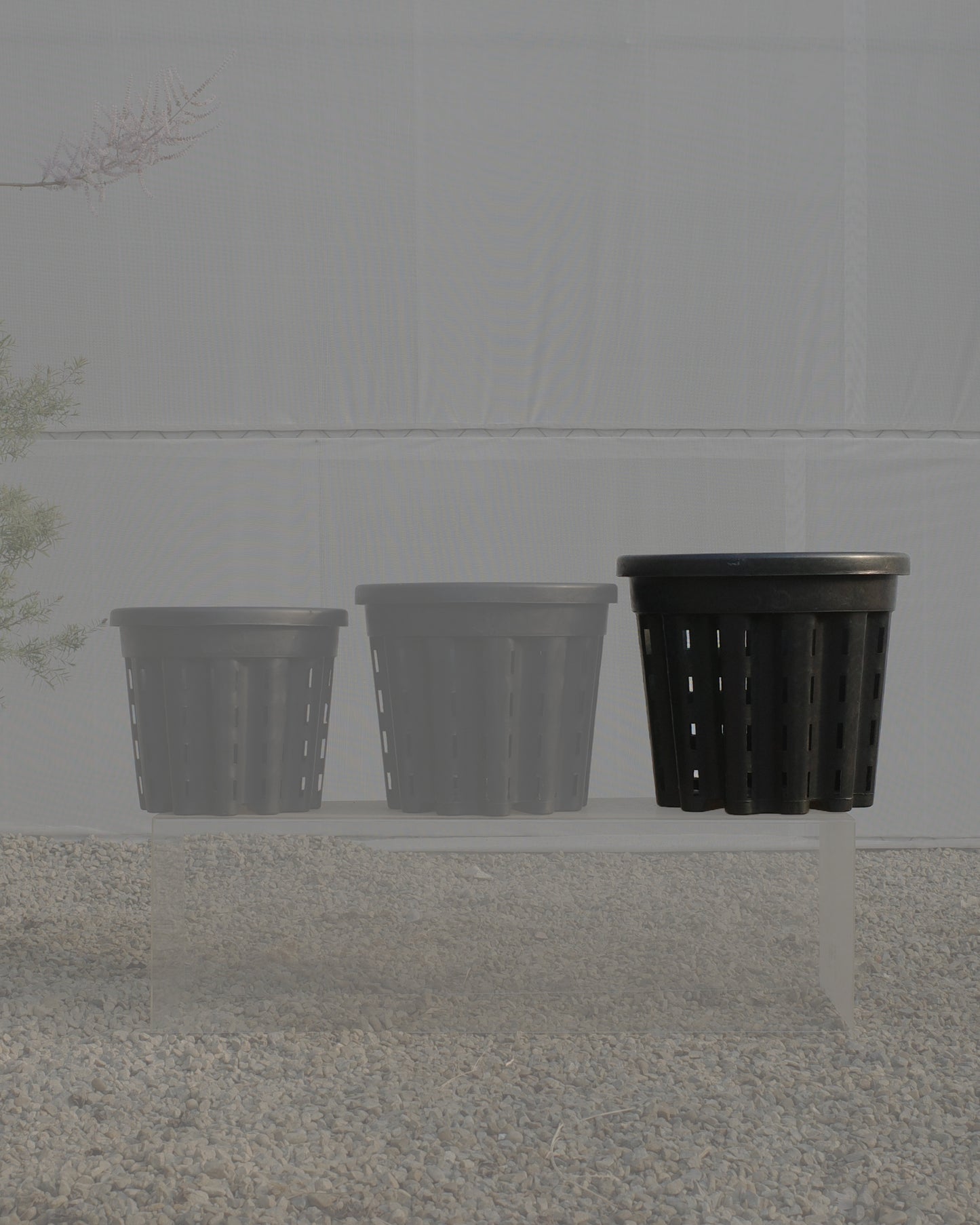 Ercole anti-root-spiraling pot 防旋根控根盆